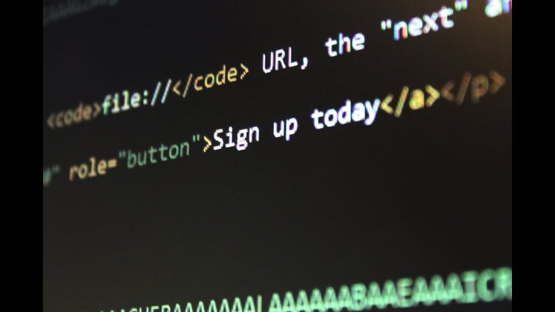 The Basics of Web Development Explained